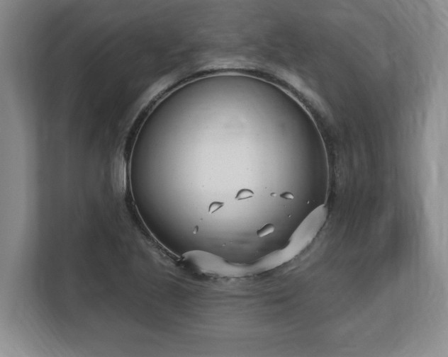 X0000112541221200908241520