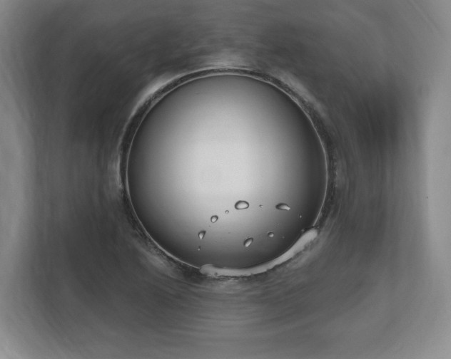 X0000112541222200908241520