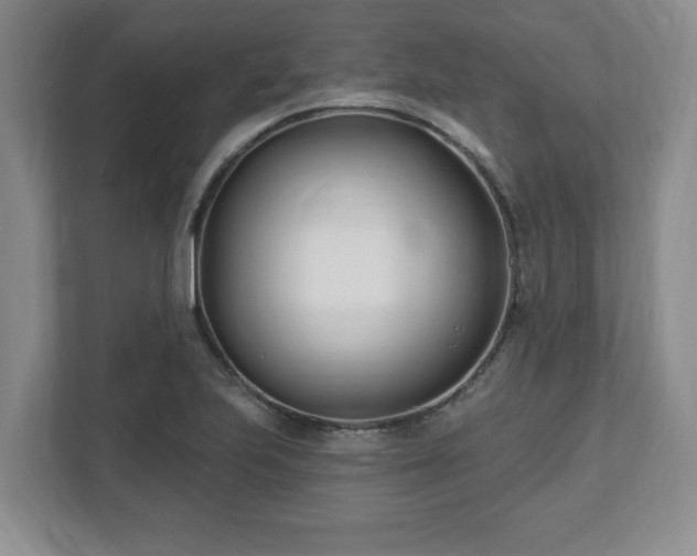 X0000112541223200908241520