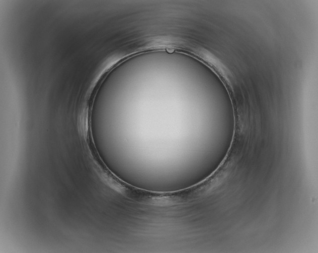 X0000112541227200908241520