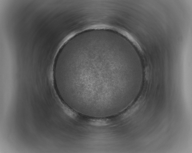 X0000112541229200908241520