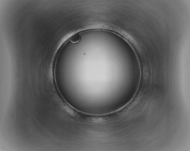 X0000112541230200908241520