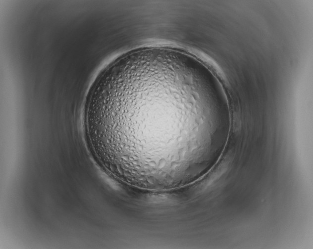 X0000112541231200908241520