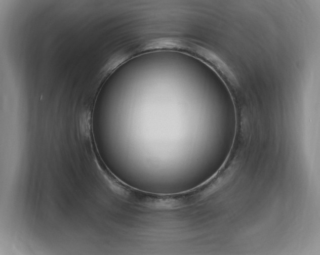 X0000112541233200908241520