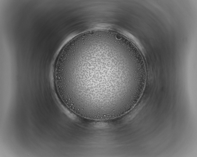 X0000112541235200908241520