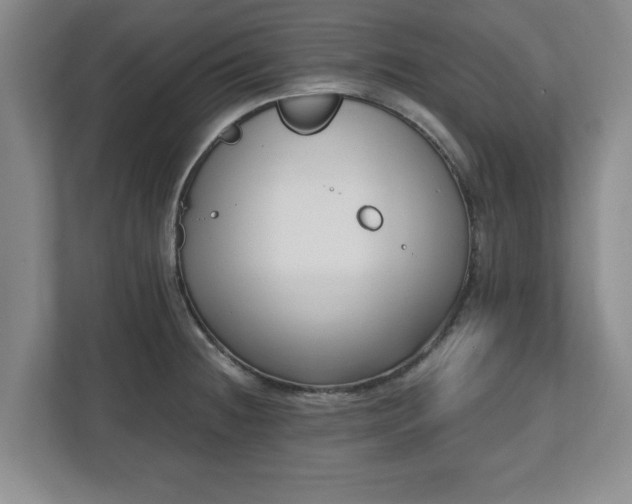 X0000112541236200908241520