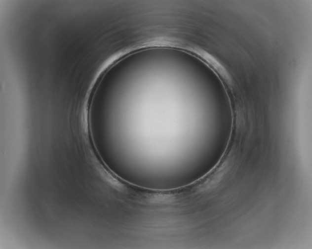X0000112541238200908241520