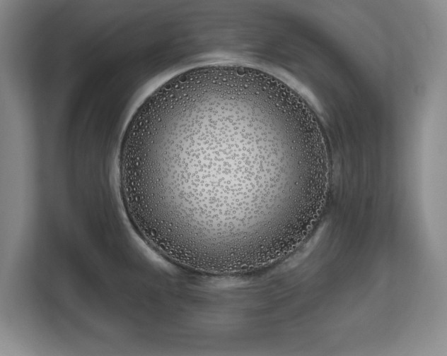 X0000112541239200908241520