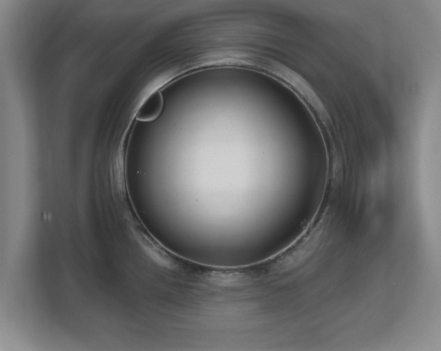 X0000112541242200908241520