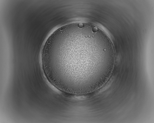 X0000112541243200908241520