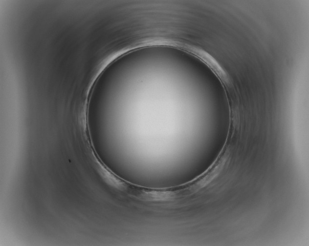 X0000112541244200908241520