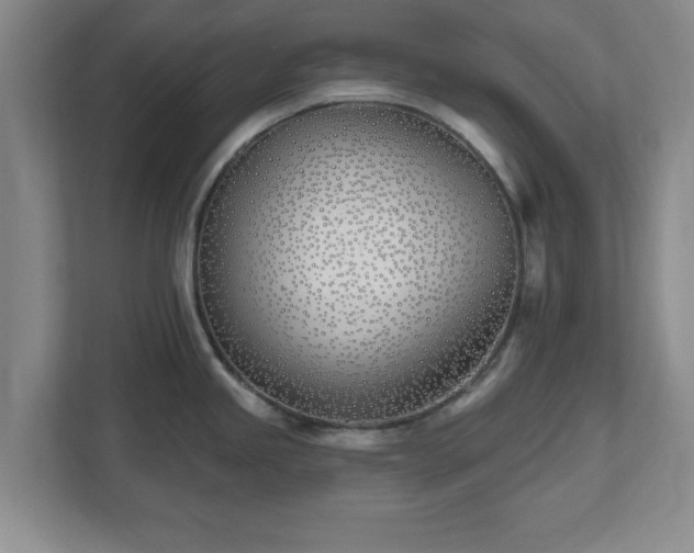X0000112541245200908241520