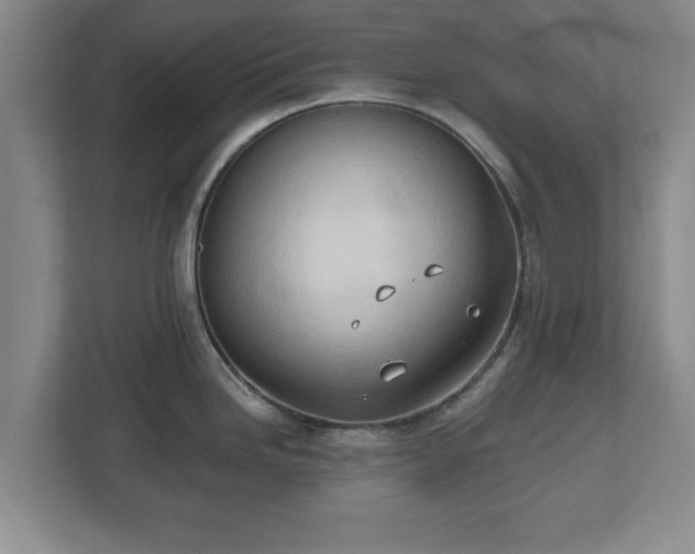 X0000112541246200908241520