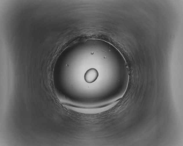 X0000112541249200908241520