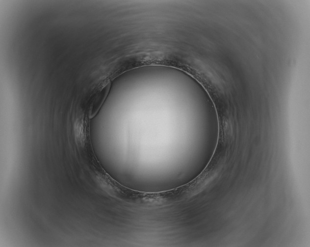 X0000112541250200908241520