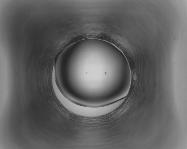 X0000112541252200908241520