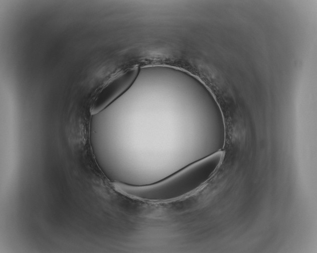 X0000112541253200908241520