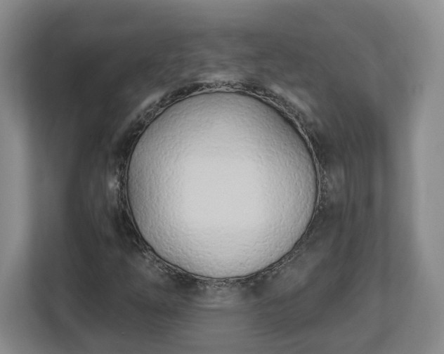 X0000112541254200908241520