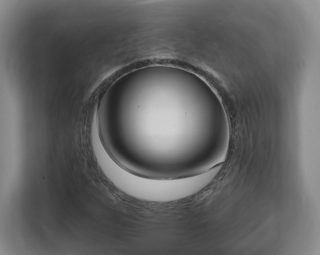 X0000112541255200908241520