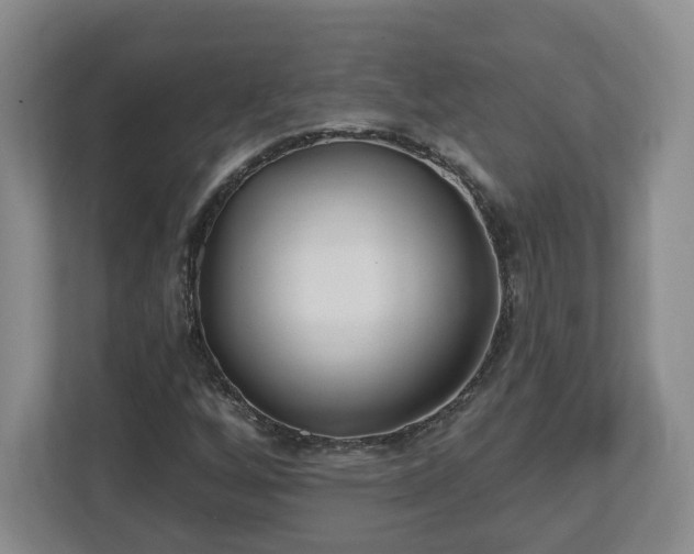 X0000112541256200908241520