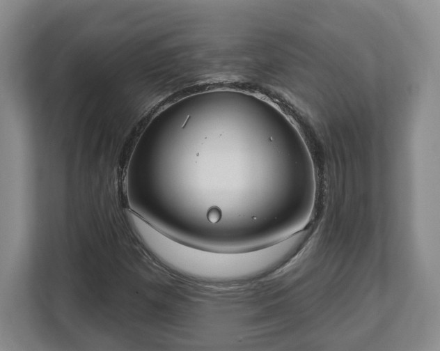 X0000112541257200908241520