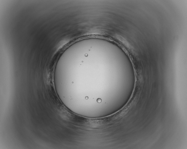 X0000112541258200908241520