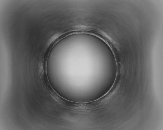 X0000112541259200908241520