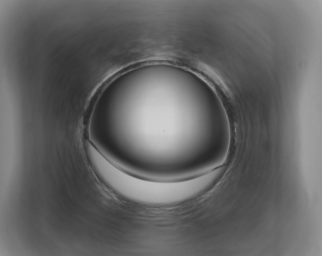 X0000112541260200908241520