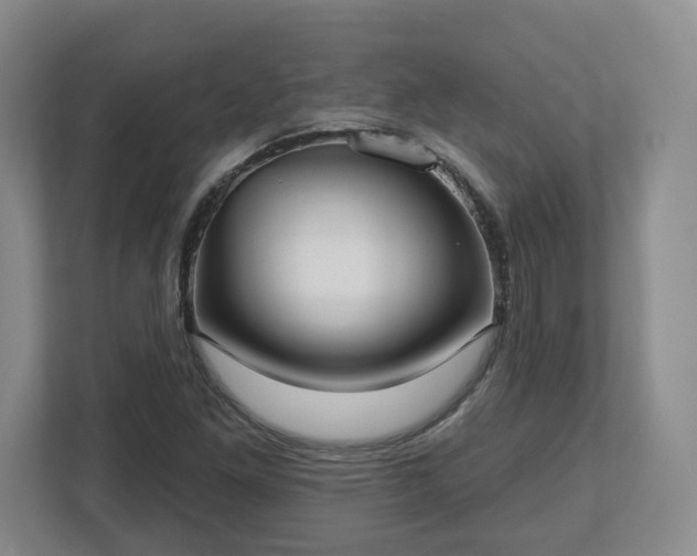 X0000112541261200908241520
