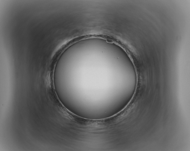 X0000112541262200908241520