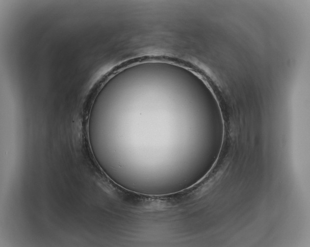 X0000112541263200908241520
