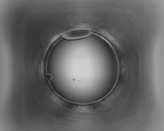 X0000112541264200908241520