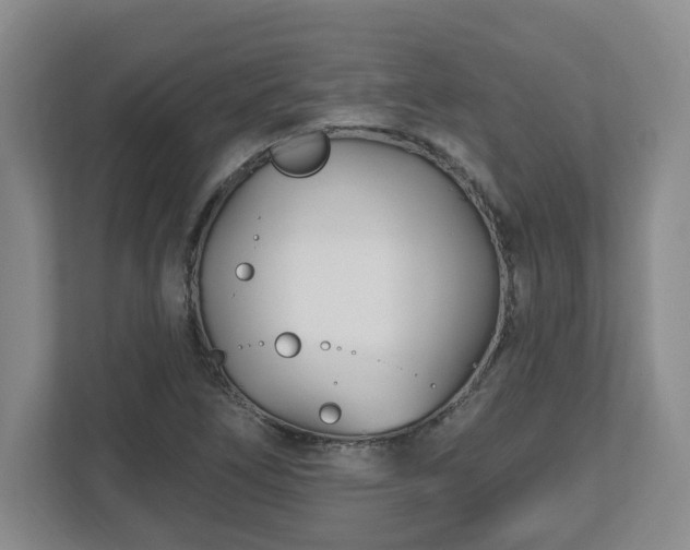 X0000112541266200908241519