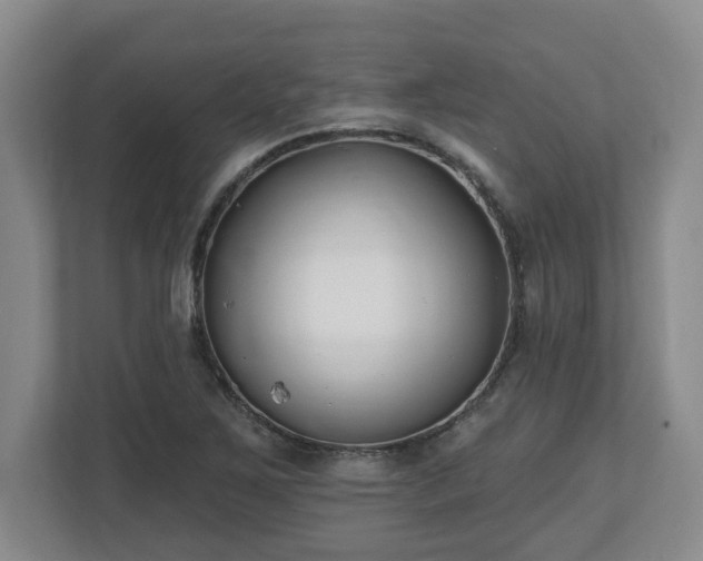 X0000112541267200908241519