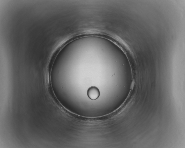 X0000112541269200908241519