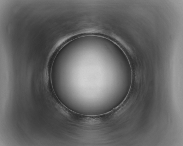 X0000112541270200908241519