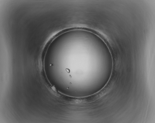 X0000112541271200908241519