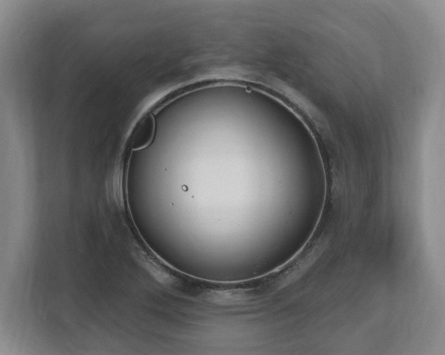 X0000112541272200908241519