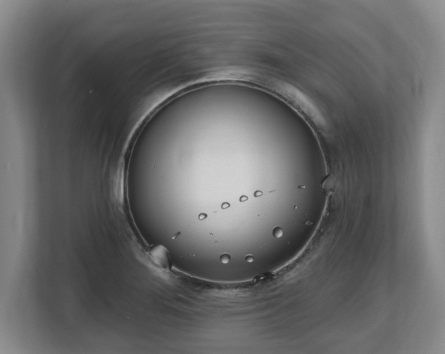 X0000112541276200908241519