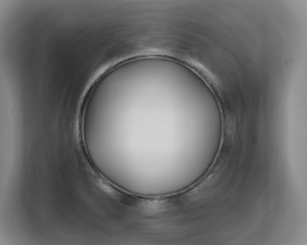 X0000112541278200908241519