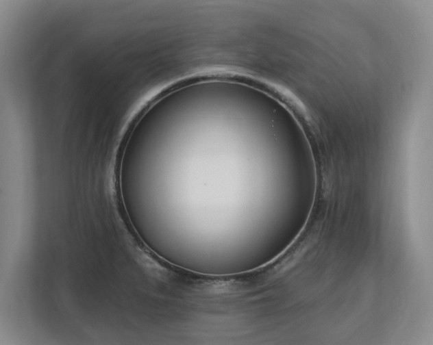 X0000112541279200908241519