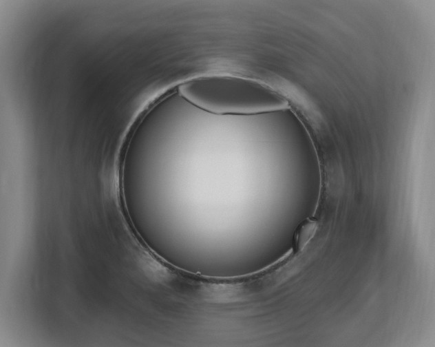 X0000112541280200908241519