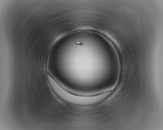 X0000112541281200908241519