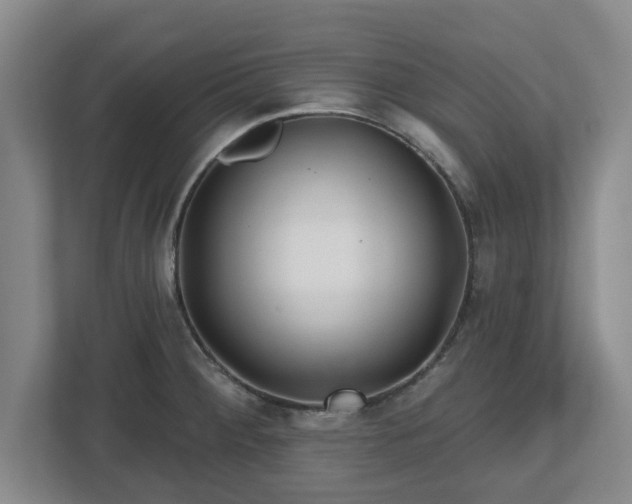 X0000112541284200908241519