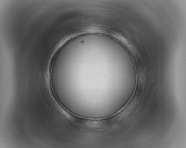 X0000112541286200908241519