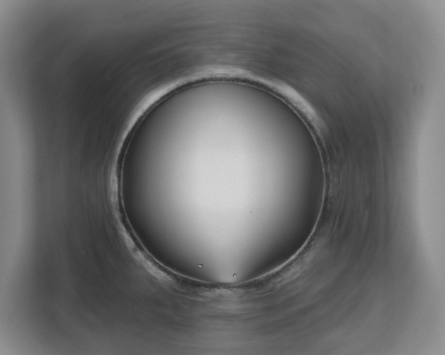 X0000112541287200908241519
