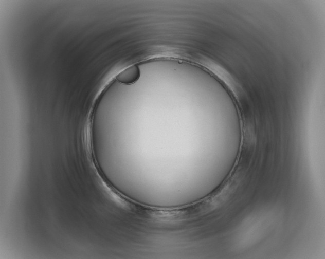 X0000112541290200908241519