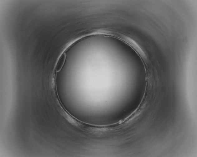 X0000112541292200908241519