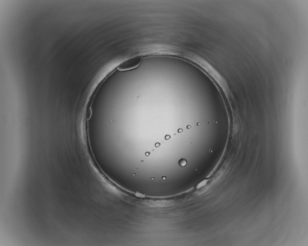 X0000112541293200908241519