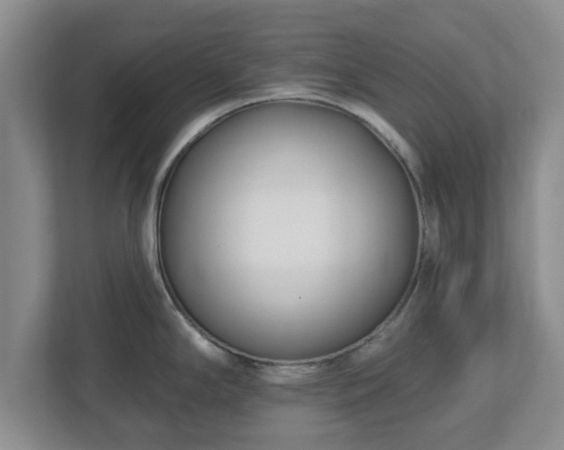 X0000112541294200908241519